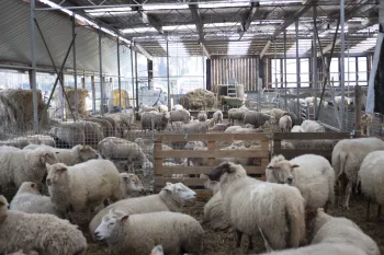 Bioboerderij De Zwaluw