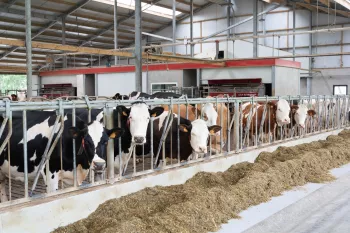 Melkveebedrijf Claesen