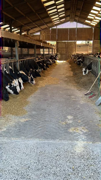 Kinderboerderij ‘t Schuurken 