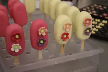  Francken CommV Koesterijs