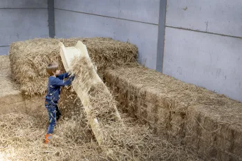 Het vijverhof4