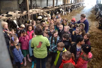 hof in de heere 1
