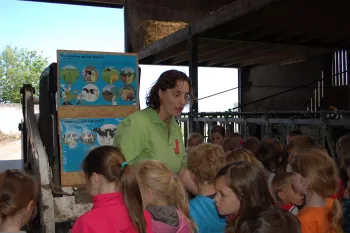 hof in de heere 3