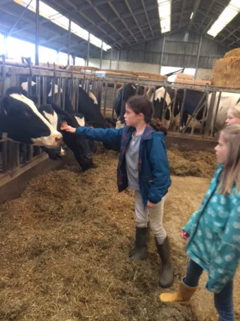 Gasthuishoeve Boshoek