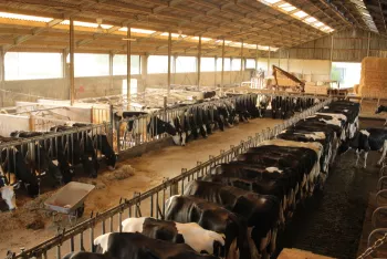 Gasthuishoeve Boshoek