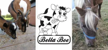 Melkveebedrijf Godrie