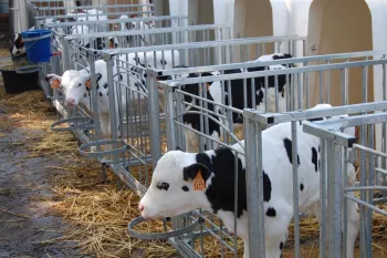 Melkveebedrijf Blockx-Hermans 