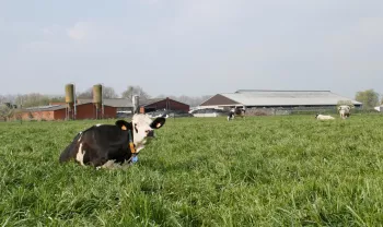 Hoeve Ten Eeckhoutte 