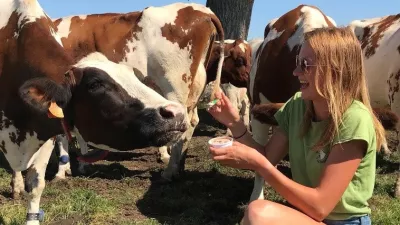 Kaasboerderij 't Leenhof