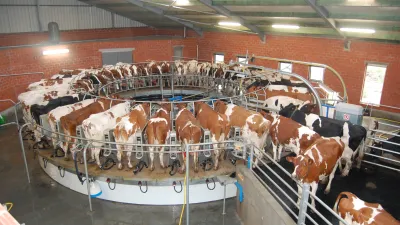 Melkveebedrijf Blockx-Hermans 